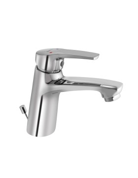 Single Lever Basin Mixer with Popup Waste