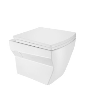 Wall Hung WC