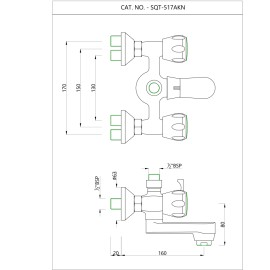 Wall Mixer Telephone Shower Arrangement