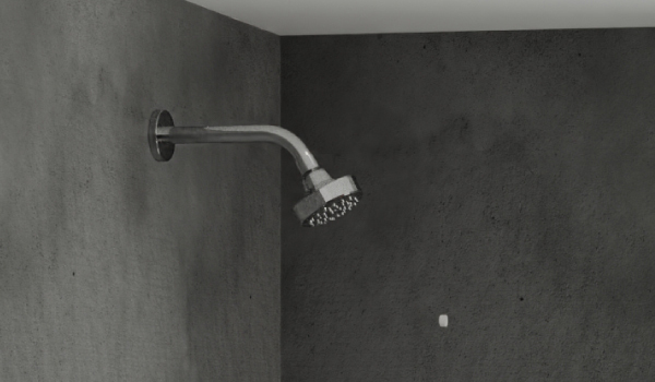 Overhead and Hand Showers - Latest Designs, Trends and Features