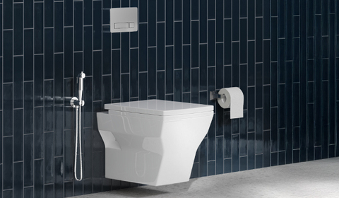 rimmed vs rimless toilet